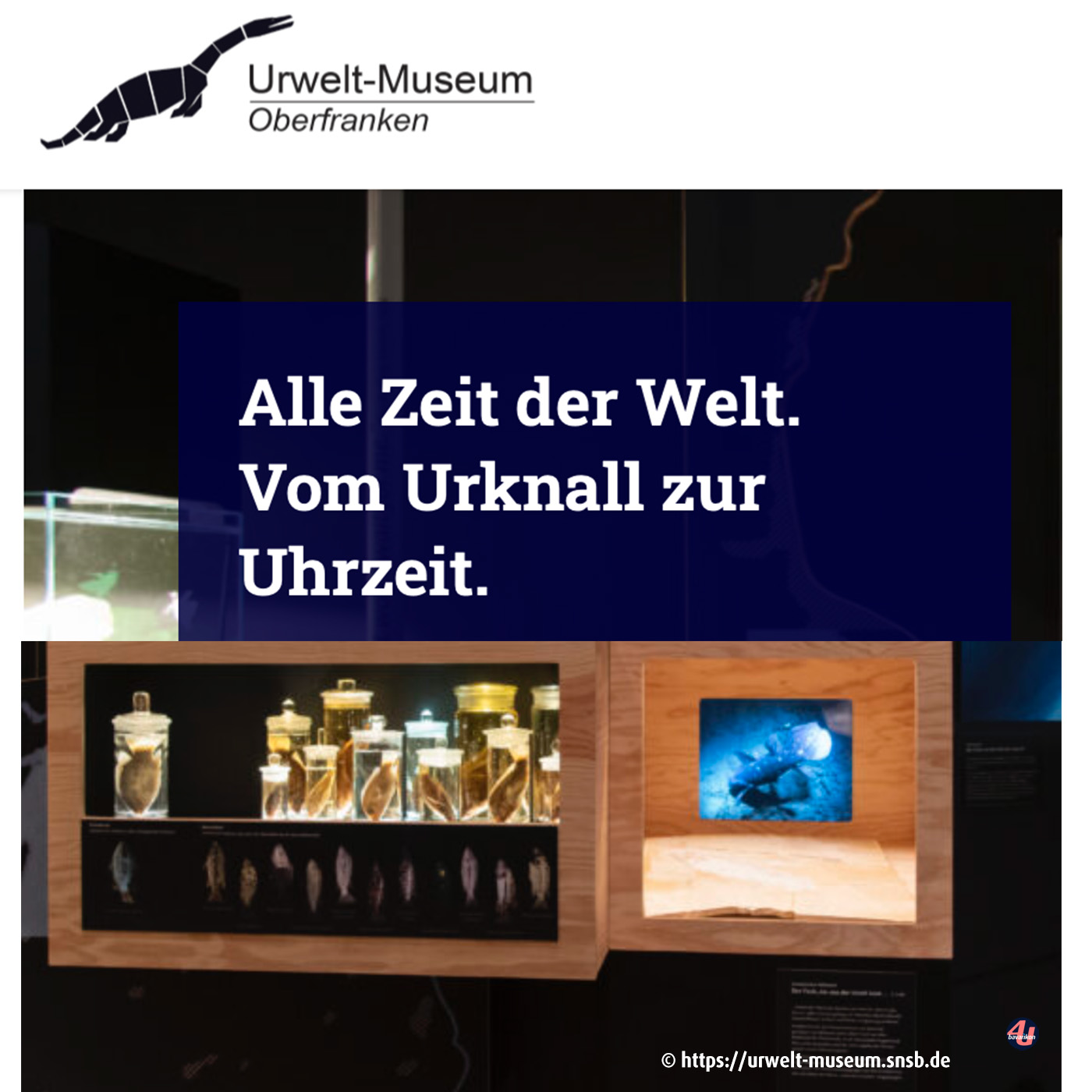 Screenshot der Homepage des Urzeitmuseums Oberfranken