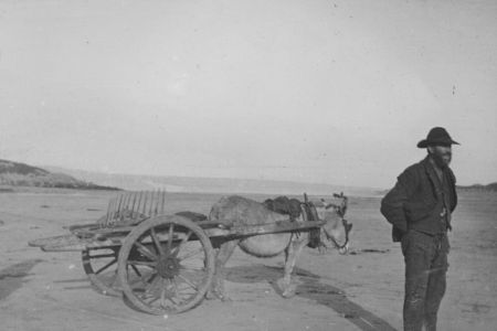 Mann vor Esel mit kleiner Kutsche für Landwirtschaftsarbeiten