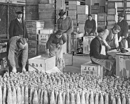 Verpackung Flaschenbier © Bayerisches Wirtschaftsarchiv