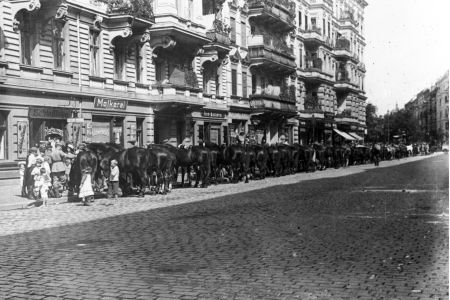 Pferde-Ausmusterung Berlin 1915