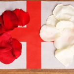 Lancaster vs. York © Adobe Stock