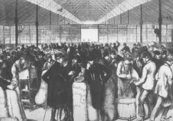 Markthalle im 19. Jahrhundert