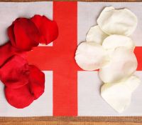 Symboldbild der Rosenkriege links die Roten Rosen für das Haus Lancaster, rechts die Weißen Rosen des Hauses York