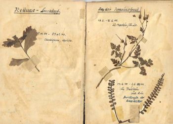 Fronteinsatz Frankreich