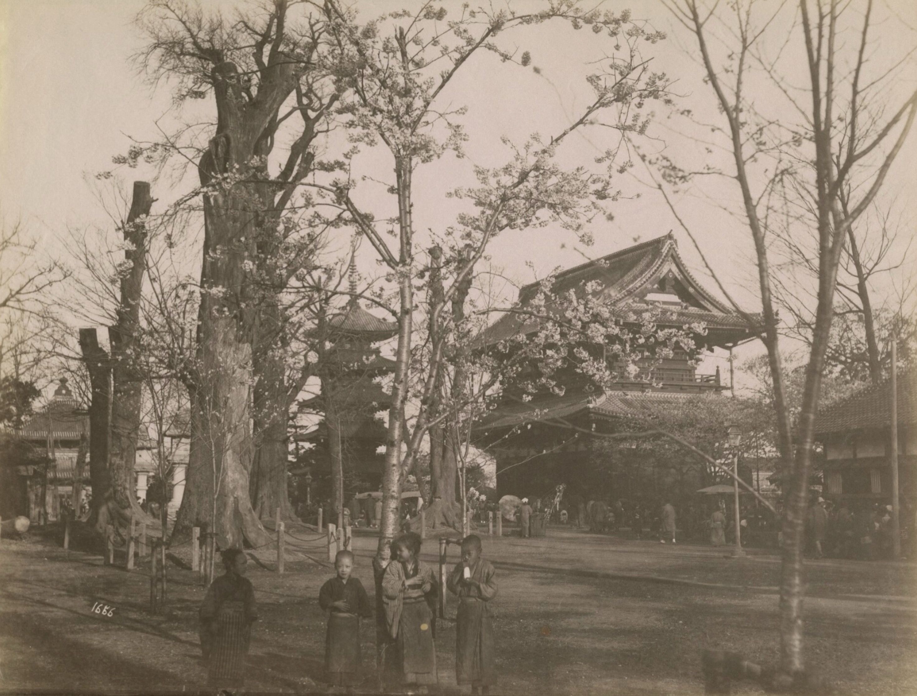 Japan 1906, Ort unbekannt