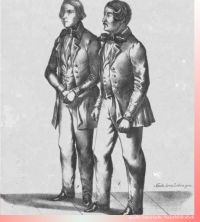 Druckgrafik von Stopfer und Dantinger
