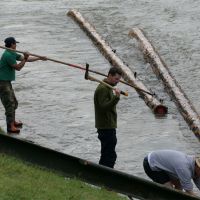 Holz wird ins Wasser gelassen