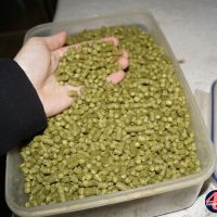 Eine Schachtel voll mit Hopfen